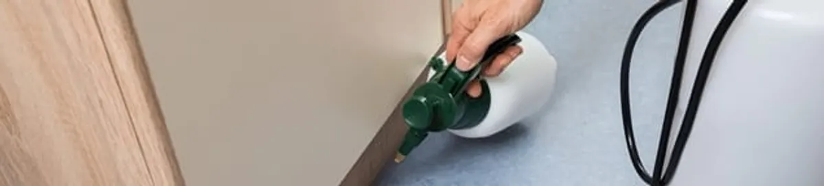 Bed bug exterminator treating baseboards and cracks with targeted spray in Jacksonville, FL