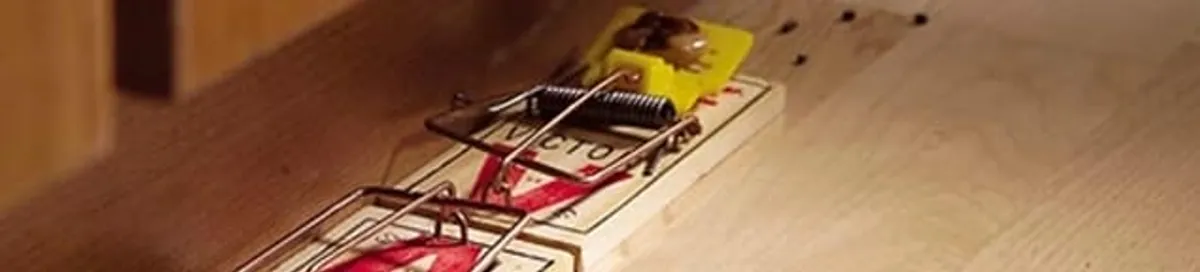 Rodent trap set indoors for rodent control and prevention in Jacksonville, FL